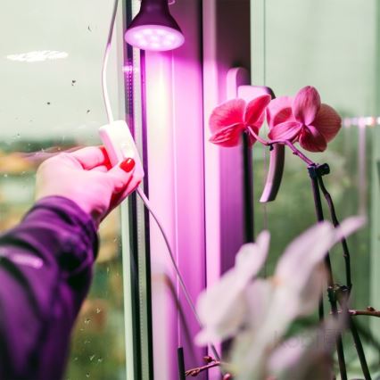 LED Лампочка для вирощування рослин PLANTY E27/7W/230V 1200K чорний