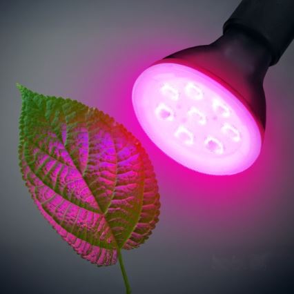 LED Лампочка для вирощування рослин PLANTY E27/7W/230V 1200K чорний