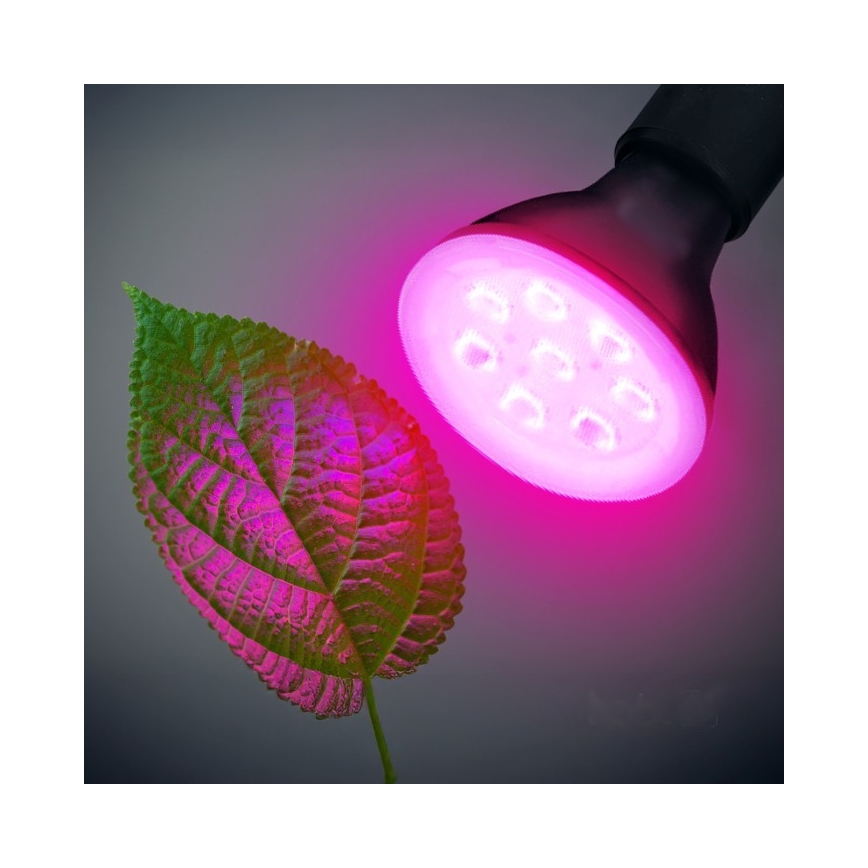 LED Лампочка для вирощування рослин PLANTY E27/7W/230V 1200K чорний