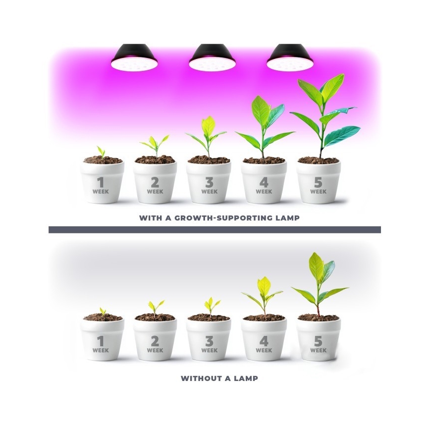 LED Лампочка для вирощування рослин PLANTY E27/7W/230V 1200K чорний
