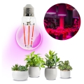 LED Лампочка для вирощування рослин VITABLOOM E27/8W/230V 1200K - Brilagi