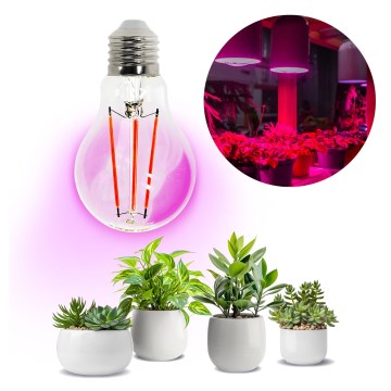 LED Лампочка для вирощування рослин VITABLOOM E27/8W/230V 1200K - Brilagi