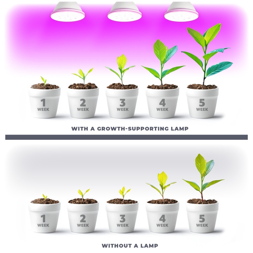 LED Лампочка для вирощування рослин VITABLOOM E27/9W/230V 1200K білий - Brilagi