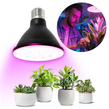 LED Лампочка для вирощування рослин VITABLOOM E27/9W/230V 1200K чорний - Brilagi