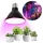 LED Лампочка для вирощування рослин VITABLOOM E27/9W/230V 1200K чорний - Brilagi