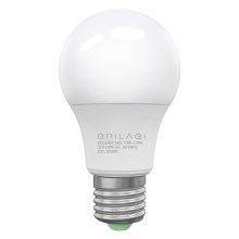 LED Лампочка ECOLINE A60 E27/10W/230V 6500K - Brilagi