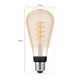 LED Лампочка з регулюванням яскравості Philips Hue WHITE AMBIANCE ST72 E27/7W/230V 2200-4500K
