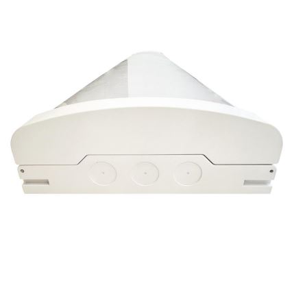 LED Люмінесцентний світильник з регулюванням яскравості LED/35W/44W/52W/60W/230V 4000K 120 см