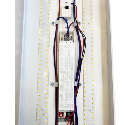 LED Люмінесцентний світильник з регулюванням яскравості LED/35W/44W/52W/60W/230V 4000K 120 см