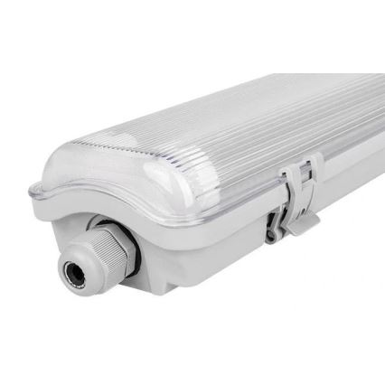 LED люминесцентный светильник 2xG13/18W/230V 127,1 cm 4000K IP65