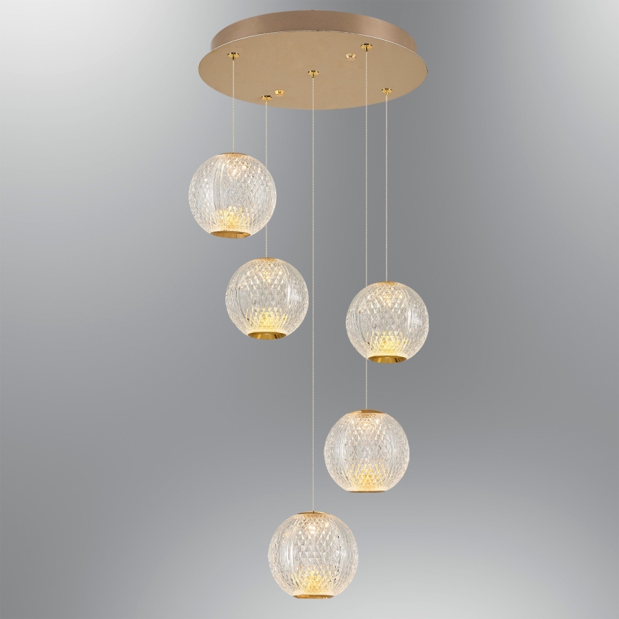 LED Люстра на шнуре CREMONA 5xLED/5W/230V 3000K золотая