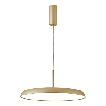 LED люстра на тросе ART LED/41W/230V золотая