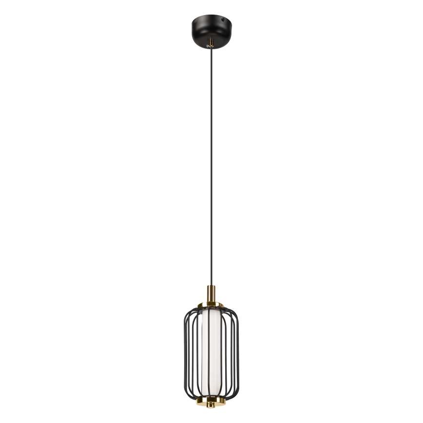 LED-люстра на тросе BONNIE LED/10W/230V 3000K черная