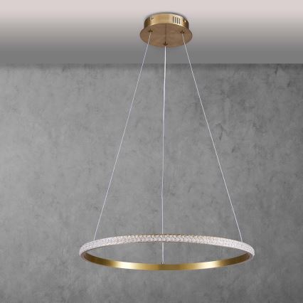 LED-люстра на тросе DIANA LED/25W/230V 4000K диам. 50 см золотая