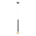 LED Люстра на тросе TUBA 1xGU10/20W/230V серая