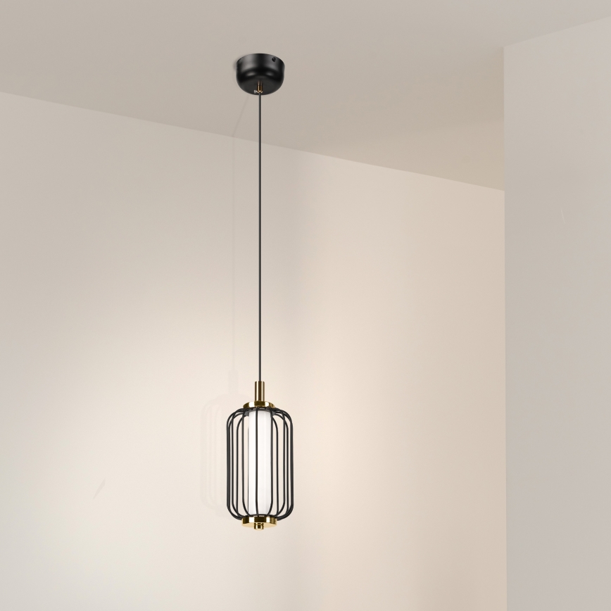 LED-люстра на тросі BONNIE LED/10W/230V 3000K чорна