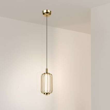 LED-люстра на тросі BONNIE LED/10W/230V 3000K золота