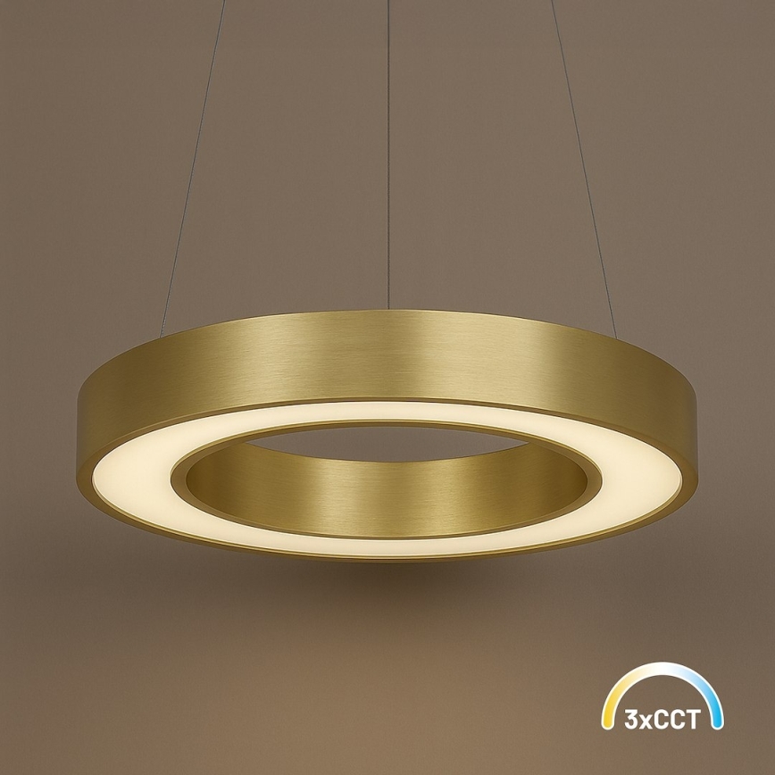 LED-люстра на тросі UNION LED/40 Вт/230 В 3000/4000/6500 К діам. 40 см золота