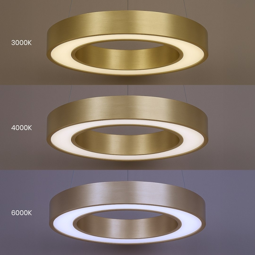 LED-люстра на тросі UNION LED/40 Вт/230 В 3000/4000/6500 К діам. 40 см золота