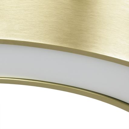 LED-люстра на тросі UNION LED/40 Вт/230 В 3000/4000/6500 К діам. 40 см золота