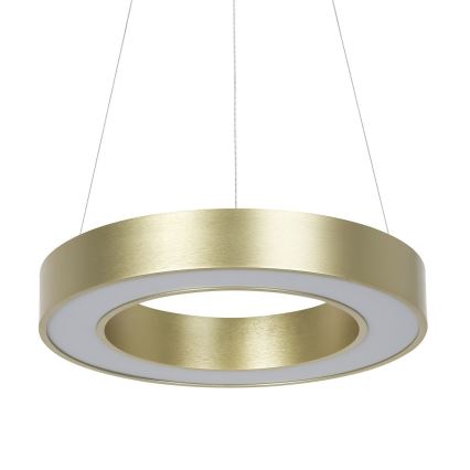 LED-люстра на тросі UNION LED/40 Вт/230 В 3000/4000/6500 К діам. 40 см золота