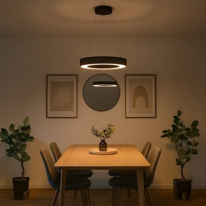 LED-люстра на тросі UNION LED/40W/230V 3000/4000/6500K діам. 40 см чорна