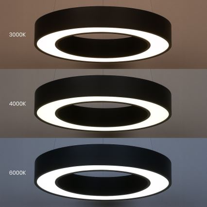 LED-люстра на тросі UNION LED/40W/230V 3000/4000/6500K діам. 40 см чорна