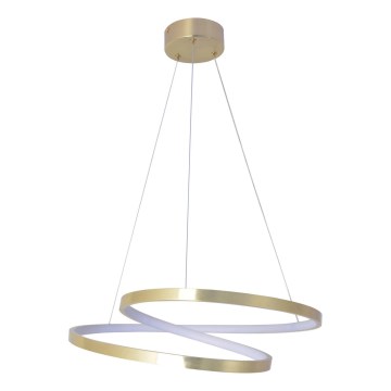 LED люстра на тросі ZEFIRA LED/40W/230V 4000K pr. 50 cm золота