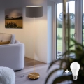 LED напольная лампа TUNJA 1x E27/20 Вт/230 В, диам. 38 см, золотая/коричневая