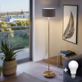 LED напольная лампа TUNJA 1xE27/20W/230V диам. 30 см золотая/коричневая