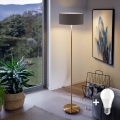 LED напольная лампа TUNJA 1xE27/20W/230V, диаметр 38 см, золотистая/коричневая