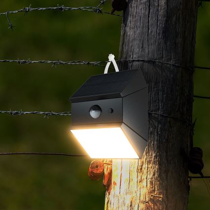 LED настенный солнечный светильник с датчиком LED/2,5W/3,7V 3000/4000/6000K IP65 1200 mAh черный