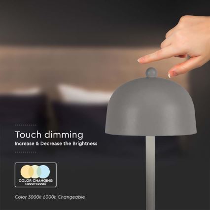 LED Сенсорна настільна акумуляторна лампа з регулюванням яскравості LED/1W/5V 3000-6000K 1800 mAh сірий
