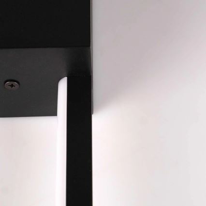 LED настінний світильник AISHA LED/12 Вт/230 В 4000 К чорний