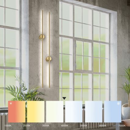 LED настінний світильник LANA LED/12W/230V 4000K матове золото