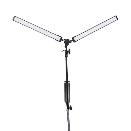 LED настольная лампа с зажимом 2xLED/10W/230V 2800-6800K