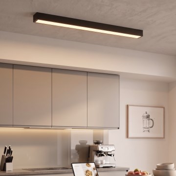 LED Накладний/підвісний світильник на тросі LED/44W/230V 3000K 120 см чорний