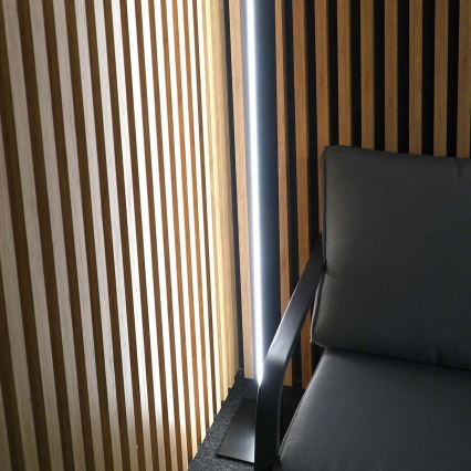 LED підлогова лампа BERNADETTA LED/28W/230V 4000K чорна