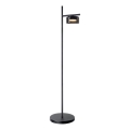 LED підлогова лампа OFELIA 1xGX53/6W/230V чорна/димчаста