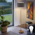 LED підлогова лампа TUNJA 1xE27/20W/230V діам. 38 см золота/тауп