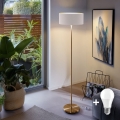 LED підлогова лампа TUNJA 1xE27/20W/230V діам. 38 см золотиста/біла