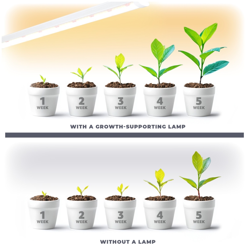 Світильник LED для підсвічування рослин GROWLY LED/15W/230W