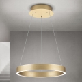 LED-підвісна люстра з регульованою яскравістю на тросі KOLK LED/40W/230V 2700/3000/4000K діаметр 40 см золота