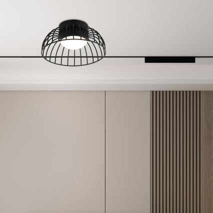 LED-потолочный светильник BETSY LED/12W/230V, диаметр 25 см, черный