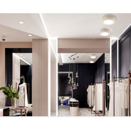 LED Потолочный светильник DIEGO LED/12W/230V 4000K IP40 диам. 16,5 см белый