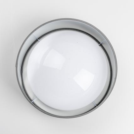 LED потолочный светильник LED/12 Вт/230 В Ø 32 см серый/серебристый