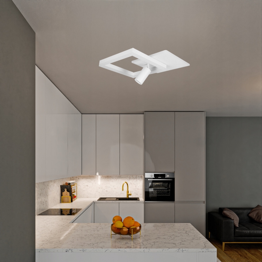 LED потолочный светильник LED/38W/230V + 1xGU10/30W белый