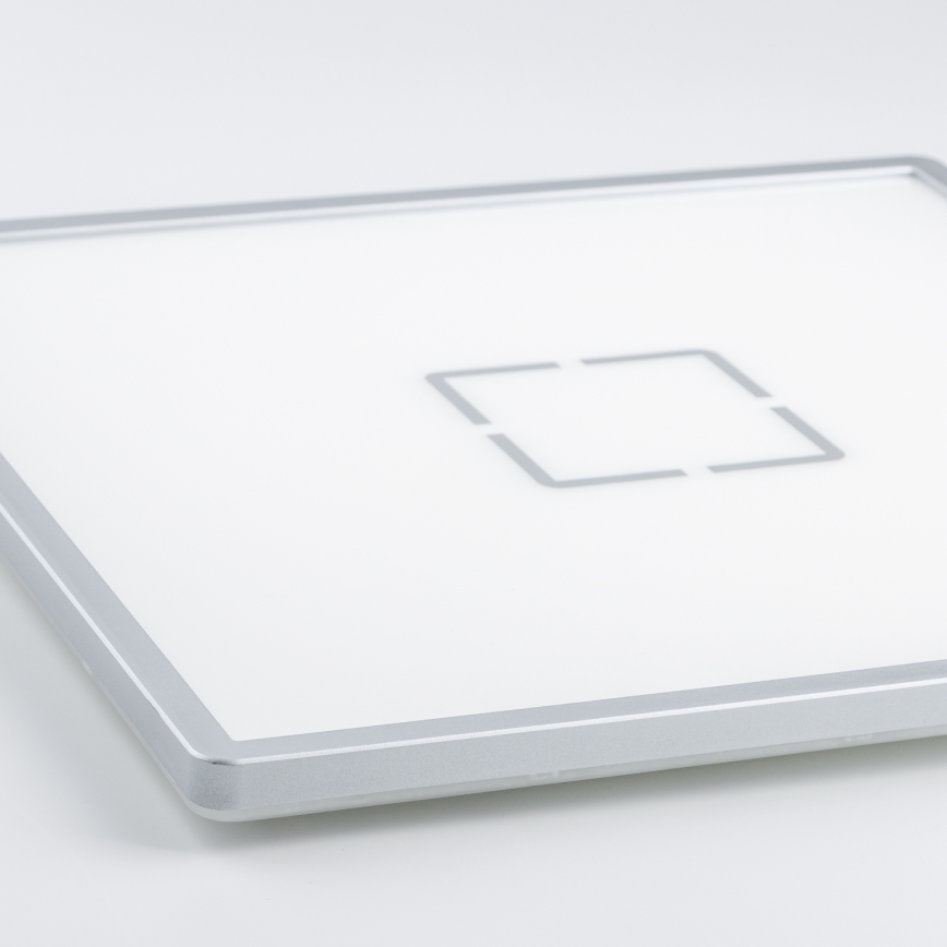 LED потолочный светильник LENNA LED/22W/230V 4000K