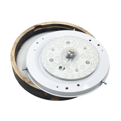 LED потолочный светильник OAK SMOKY SLIM LED/20W/230V 4000K Ø 27 см дуб/тёмно-коричневый