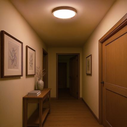 LED потолочный светильник ORINOKO LED/36W/230V диаметр 48 см бежевый